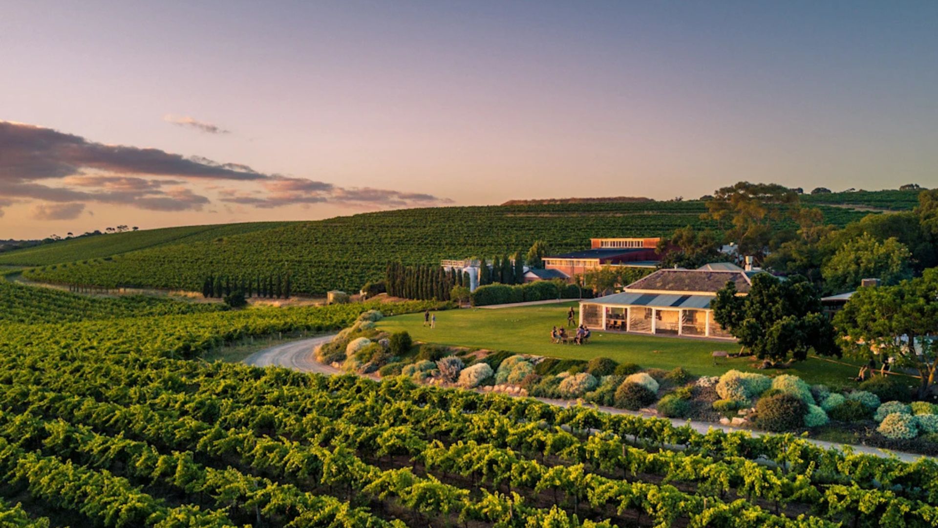 Best Wineries in McLaren Vale to Visit